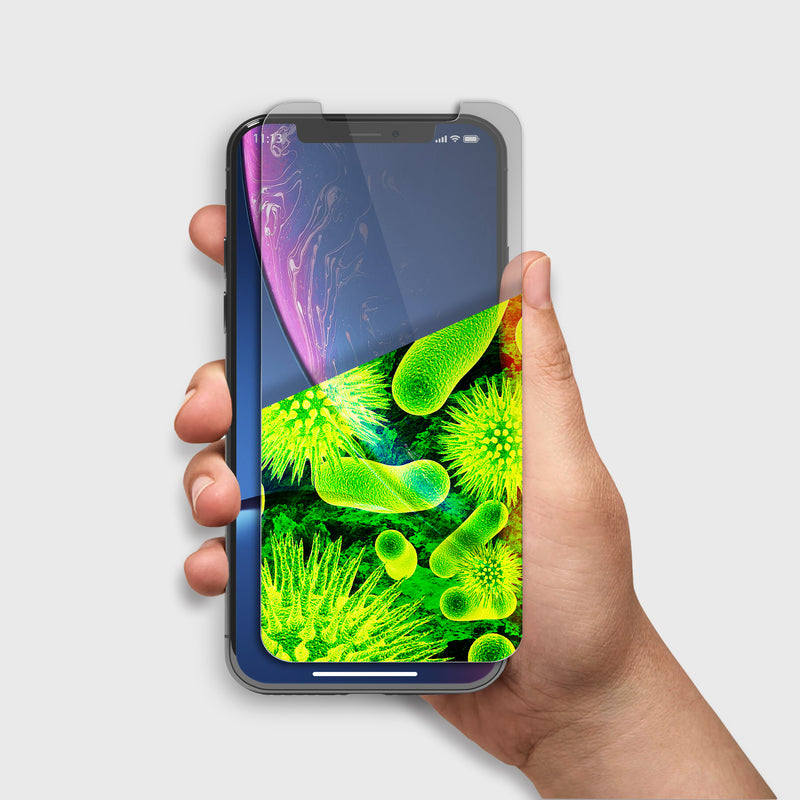 iPhone XR Antimicrobial Screen Protector